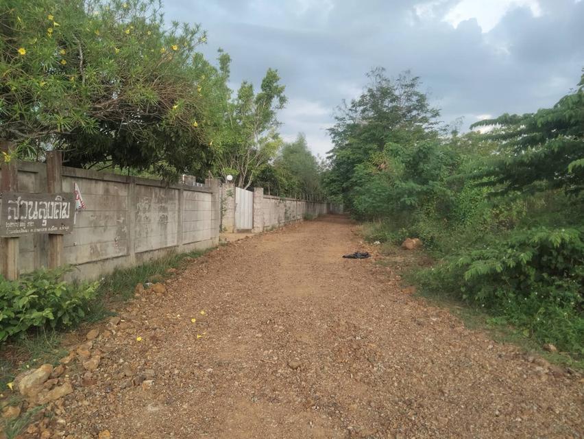 ที่ดินลำพูน ถ่มล้อมรั้ว น้ำ ไฟฟ้า มีครบทุกอย่าง 5