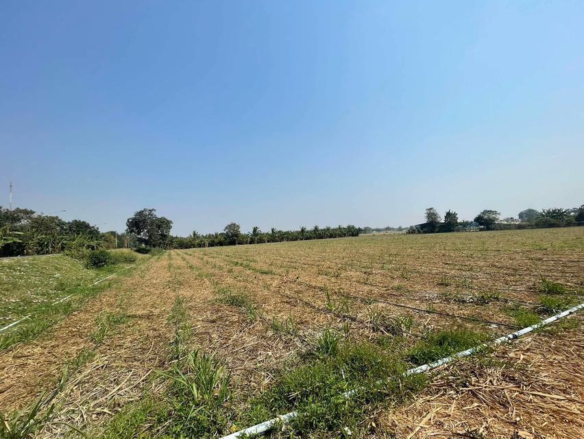 ที่ดินอู่ทอง สุพรรบุรี 20 ไร่ 16.40 ลบ. 3