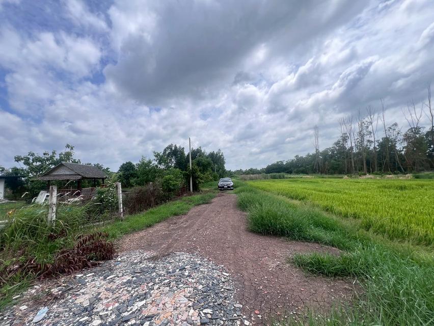 ขายที่ดินเปล่า1 ไร่ ถนนเลียบคลองหนองขุม ใกล้มศว องครักษ์ นครนายก 3