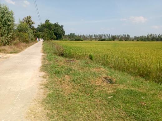 💎 ทำเลทอง! ขายที่ดินแปลงใหญ่ 34 ไร่เศษ ติดถนน 4 เลน ใกล้ที่ทำการอำเภอหนองมะโมง 2