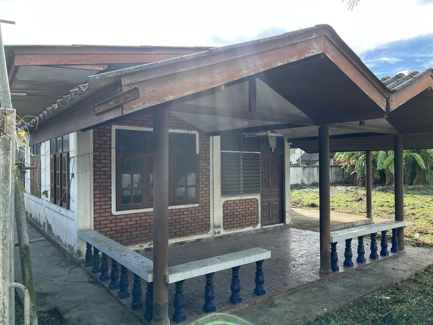 บ้านมือ2 และที่ดินในชุมชนติดถนนสาธารณะเชียงใหม่ใกล้เมือง 1