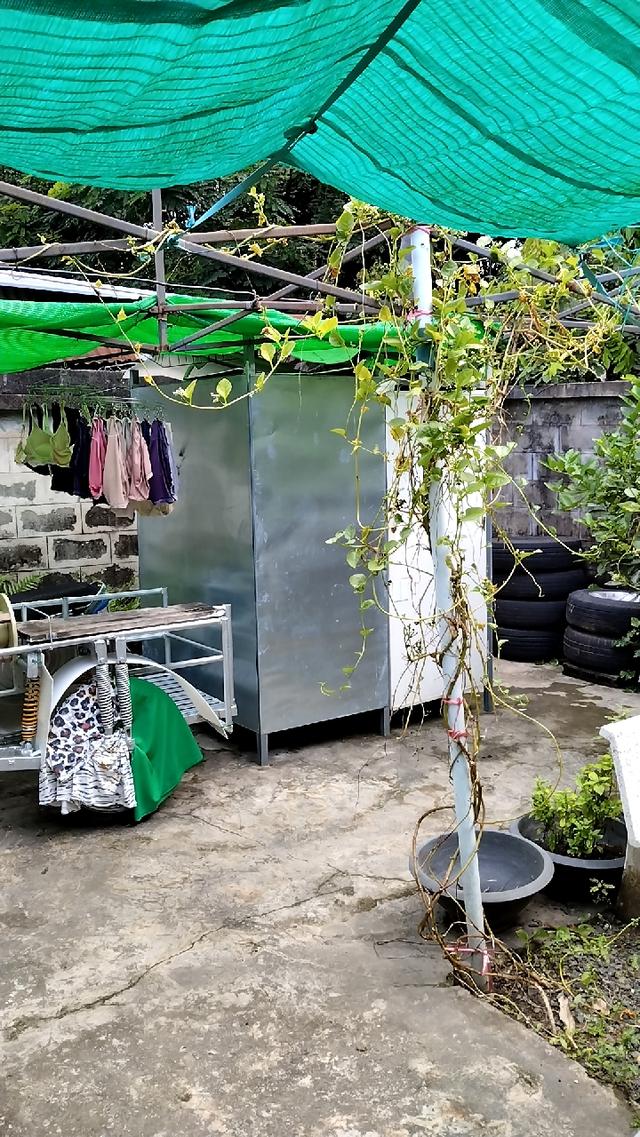 บ้านพร้อมที่ดิน 62 ตารางวา 12