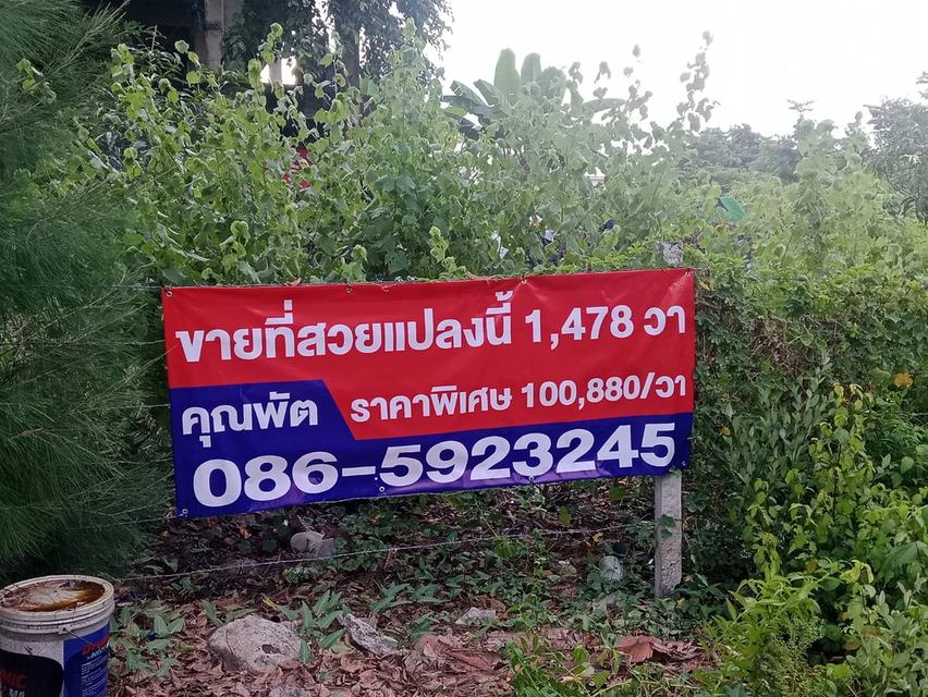 ขายที่ดินพร้อมลงทุนคอนโดขายหมดแน่นอน 3 ไร่ 2 งาน 77.9 ตารางวานวมินทร์ 70 แยก 3 หลัง JC Mall ห้างดัง 2
