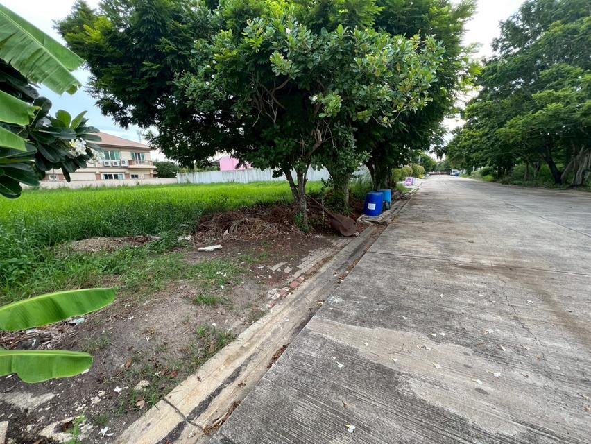 ขายที่ดินเปล่าถมแล้ว หมู่บ้านกรีนวัลเล่ย์ บางนา-ตราด กม.15 แปลงสวย ทำเลดี พร้อมสร้างบ้าน 5