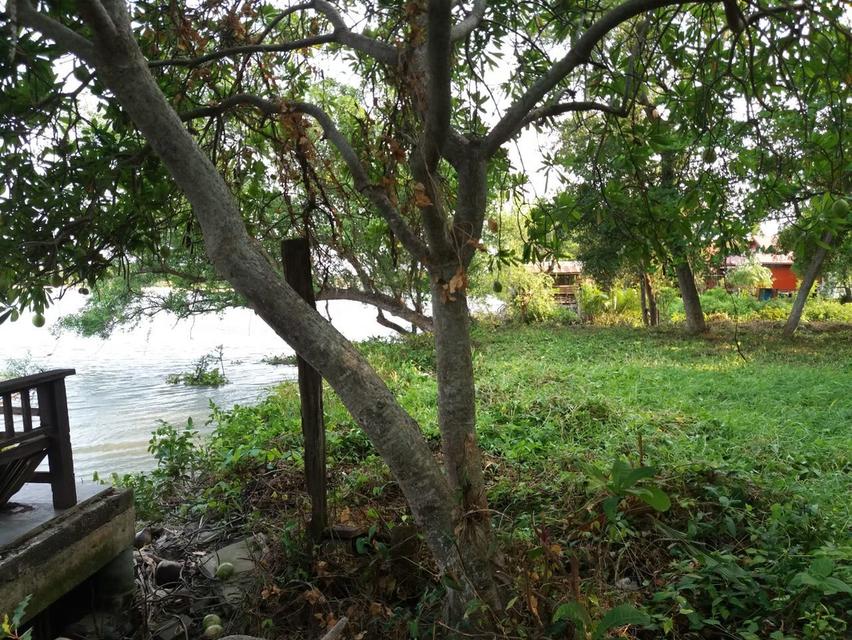 ที่ดินสวยติดแม่น้ำแม่กลอง 1