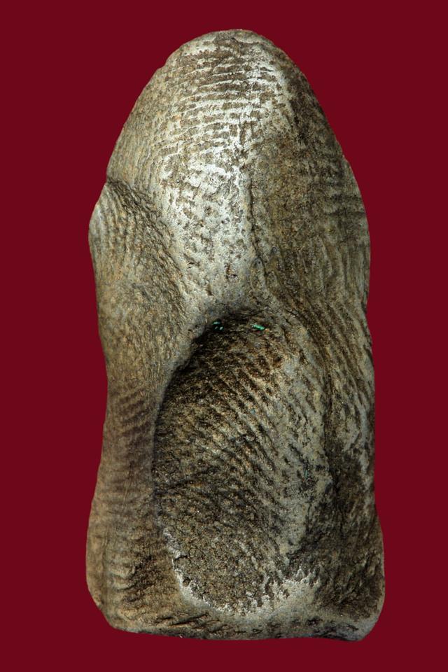 เปิดคับพระรอดมหาวันสนใจทักแชทครับ รูปที่ 3