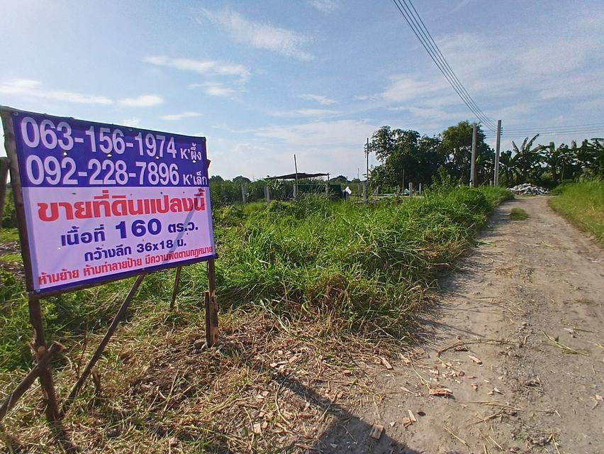ขายที่หนองจอก เนื้อที่ 160 ตารางวา ซอย เลียบวาลี 59 โคกแฝด หนองจอก กรุงเทพมหานคร 4
