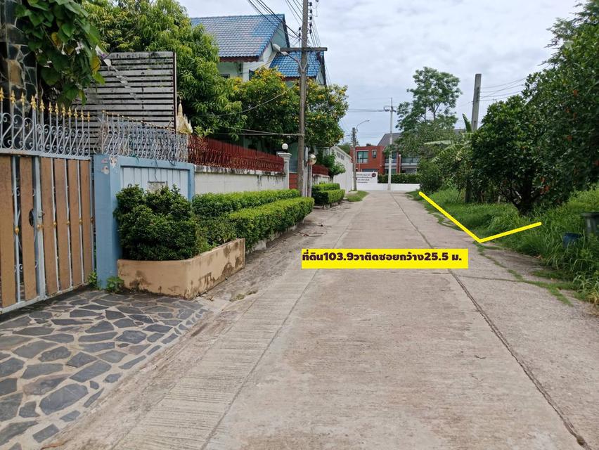 ขายที่ดินจัดสรรม.ลานทองแปลงสวยสุด 103.9 ตรวา มุม ลานทอง 35/1 หายาก (ไม่มีแล้ว)สร้างบ้าน ม.ลานทอง ติวานนท์-ปากเกร็ด25 หมู่บ้านดี โซนบ้านเดี่ยว หาออกยาก 4