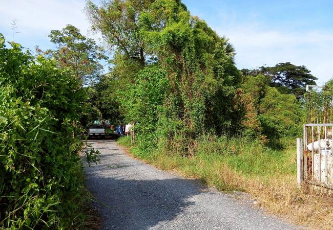 ขายที่ดิน ซอยมิตรไมตรี 14 ถนนมิตรไมตรี แขวงคู้ฝั่งเหนือ เขตหนองจอก กรุงเทพมหานคร 5