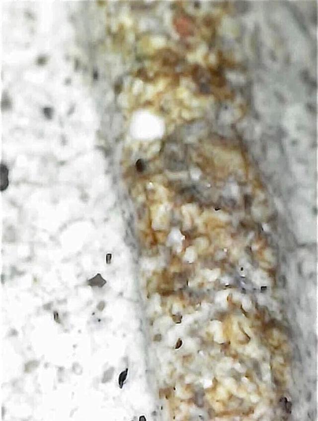 พระสมเด็จวัดระฆังพิมพ์ใหญ่เกศทะลุซุ้ม 6