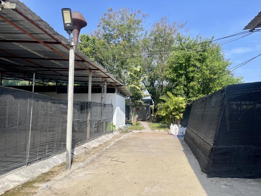 ขายที่ดินสวย ลดราคาพิเศษ พร้อมสิ่งปลูกสร้าง โรงเรือน 9 ไร่ ต.บ้านใหม่ อ.ท่าม่วง จ.กาญจนบุรี 3