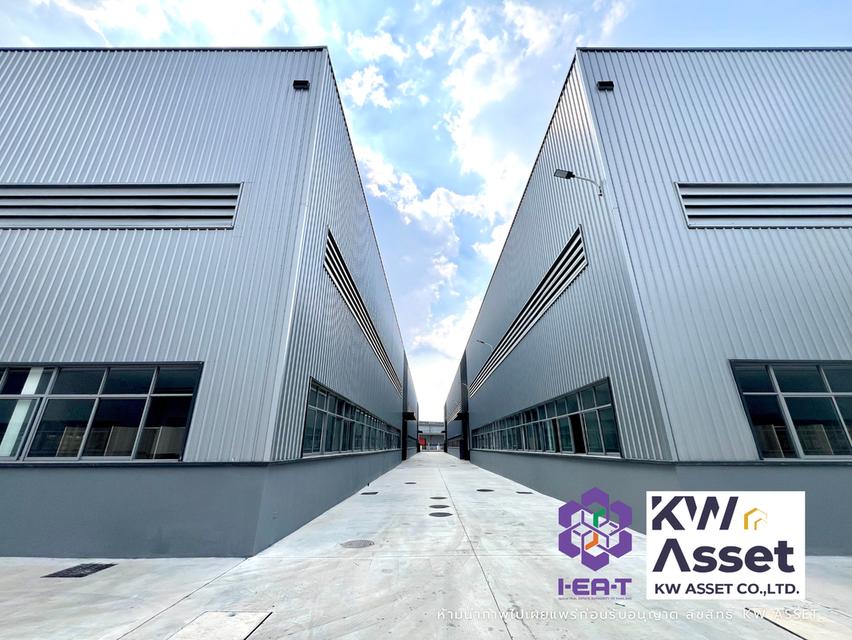 โรงงานให้เช่า-ขายในนิคมอุตสาหกรรมหนองใหญ่ จังหวัดชลบุรี ขนาด 31,686 ตารางเมตร ได้รับการรับรองจาก IEAT พื้นที่สีม่วงเข้ม #KWASSET 13