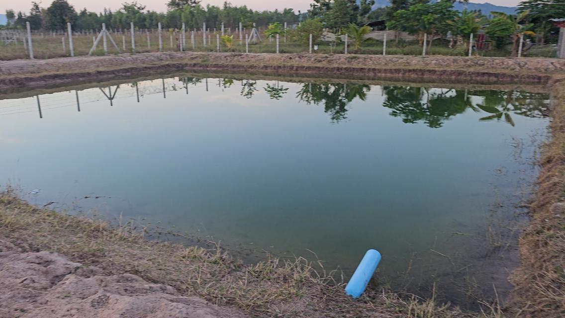 ที่ดิน 1 ไร่ โฉนด น.ส.4 จ. (ติดทางสาธารณะ ถมที่และล้อมรั้วแล้ว) 18