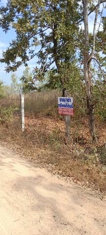 เลือกสรรทรัพย์ดีเติมเต็มชีวิต ขายที่สวยติดทางหลวง1107 บ้านตาก จ.ตาก คมนาคมสะดวก ไร่ละ 300000 ต.ตากตก อ.บ้านตาก จ.ตาก 083