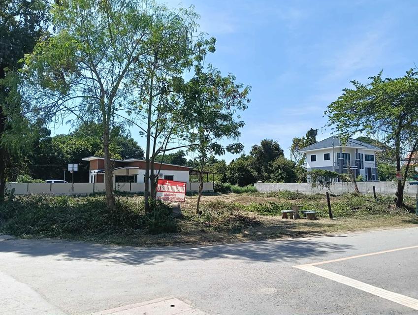 ที่ดินทำเลดีในอำเภอชุมแพ 3