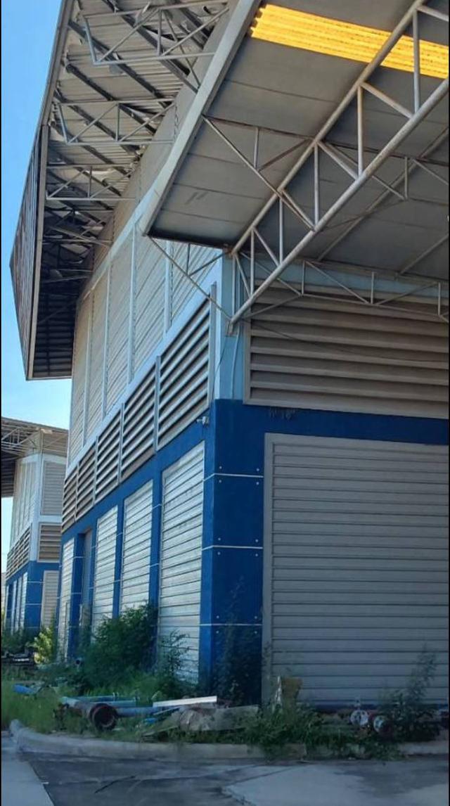 ขายที่สีม่วงถมแล้ว ขายพร้อมโกดังหลายหลัง พานทอง ชลบุรี 1