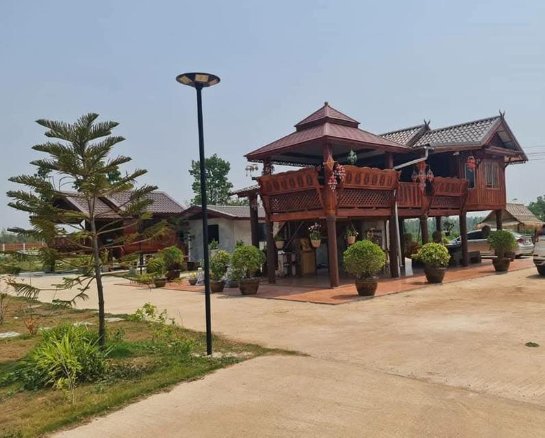 ที่ดินพร้อมบ้านสวนลักษณะเป็นบ้านสวนพร้อมเข้าอยู่พื้นที่ 5 ไร่ มีสาธาณูปโภคครบ 2