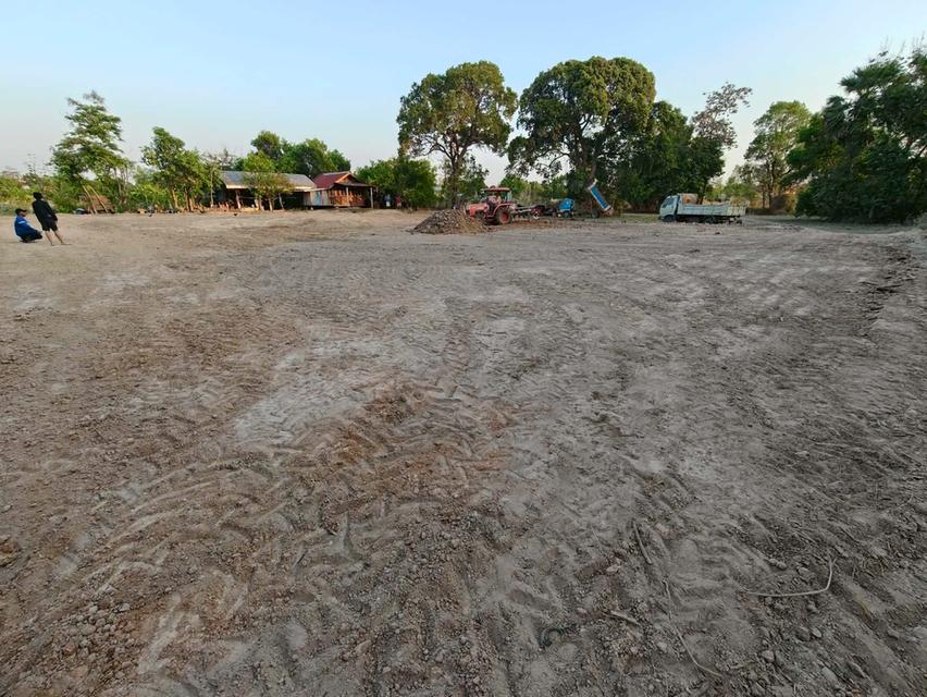 ขายที่ดินถมแล้ว อุบลราชธานี เพียง 1.5 ลบ. ฟรีโอน ราคาดีมาก เหมาะซื้อเก็บหรือสร้างบ้านทันที! (N.2028) 9