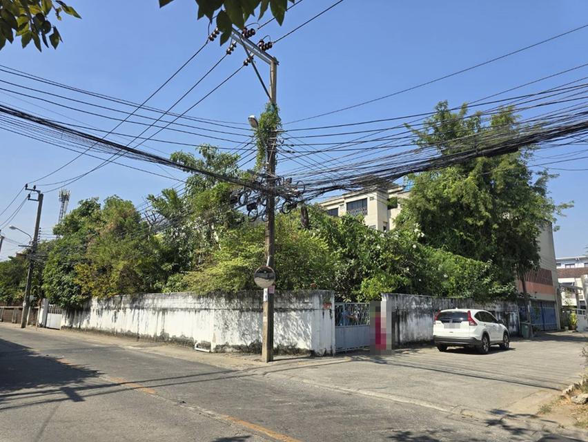 ขาย ที่ดิน พร้อมสิ่งปลูกสร้าง 142 ตร.ว. พัฒนาการ 38 พระโขนง กรุงเทพฯ 2