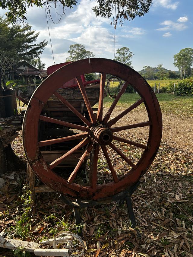 ของเก่า งาน vintage ขายถูกๆๆ หมดสัญญาเช่าร้าน รูปที่ 14