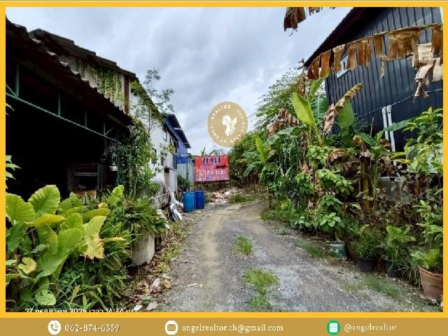 ที่ดินสะแกงาม เหมาะพัฒนาโกดัง–โรงงาน ใกล้ถนนกาญจนาภิเษก 5