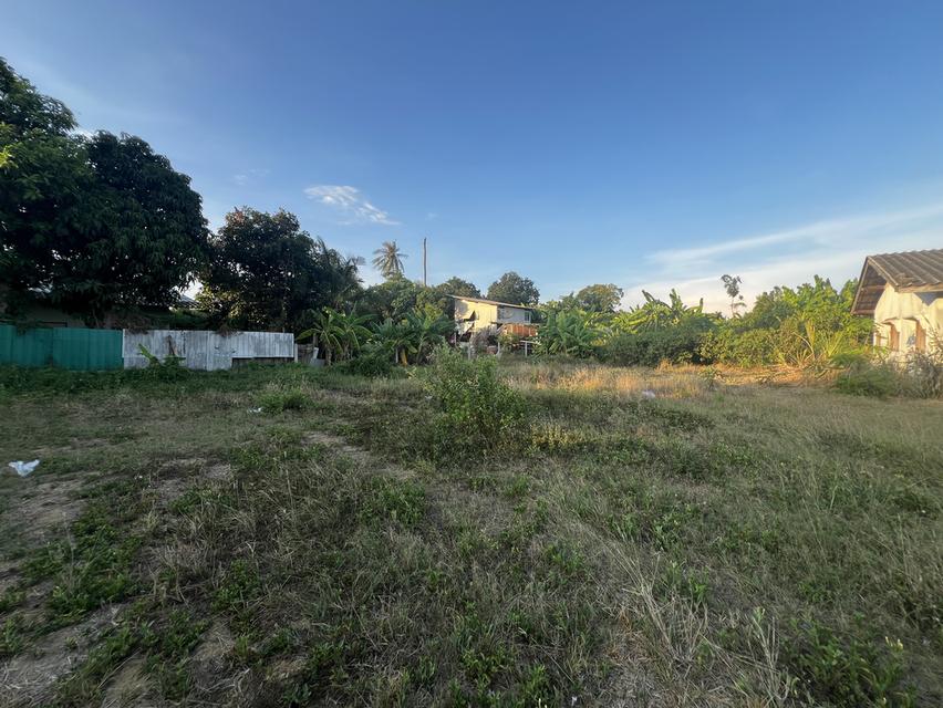ขายที่ดิน180ตรว อำเภอเมือง จ.นครปฐม 2