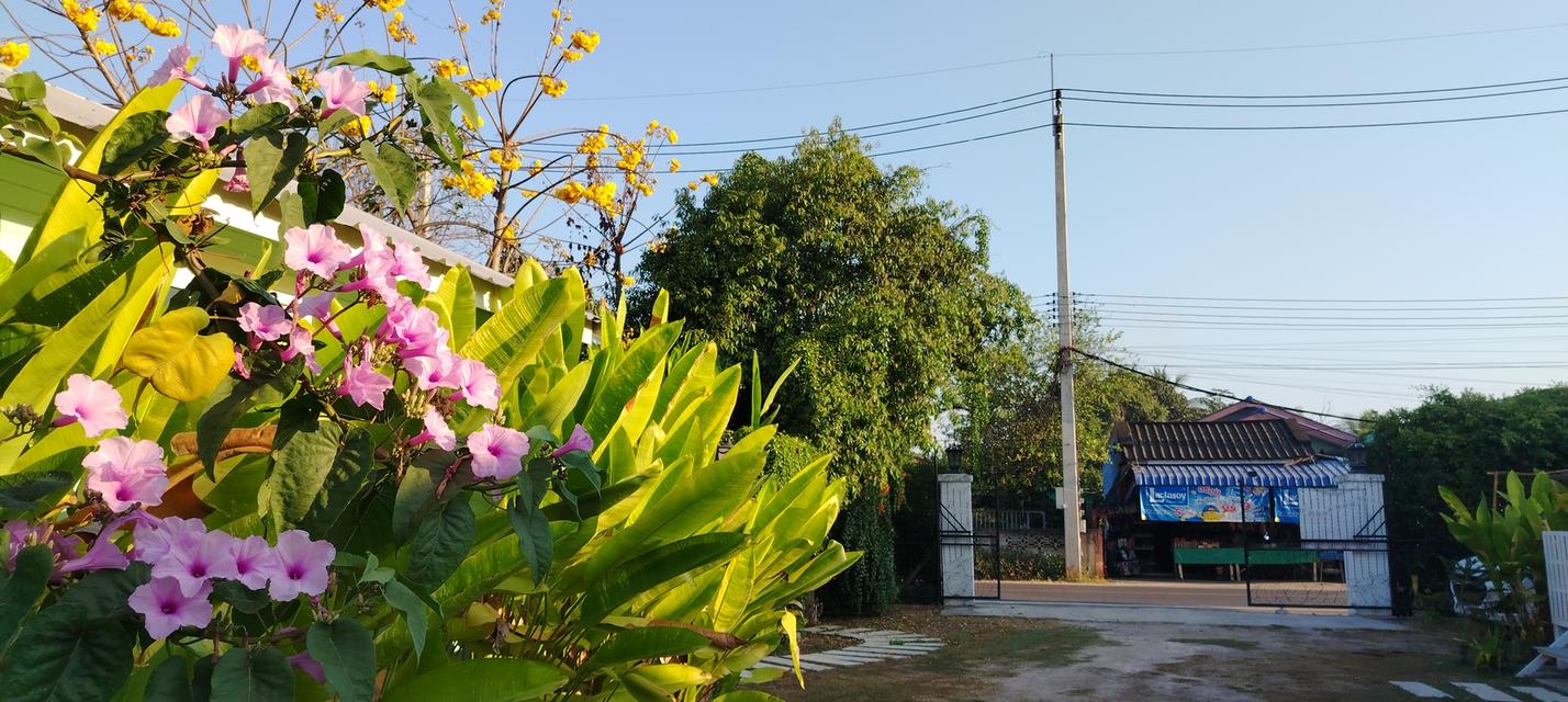 บ้านพร้อมที่ดิน215ตรว​ 3.8ล้าน 2