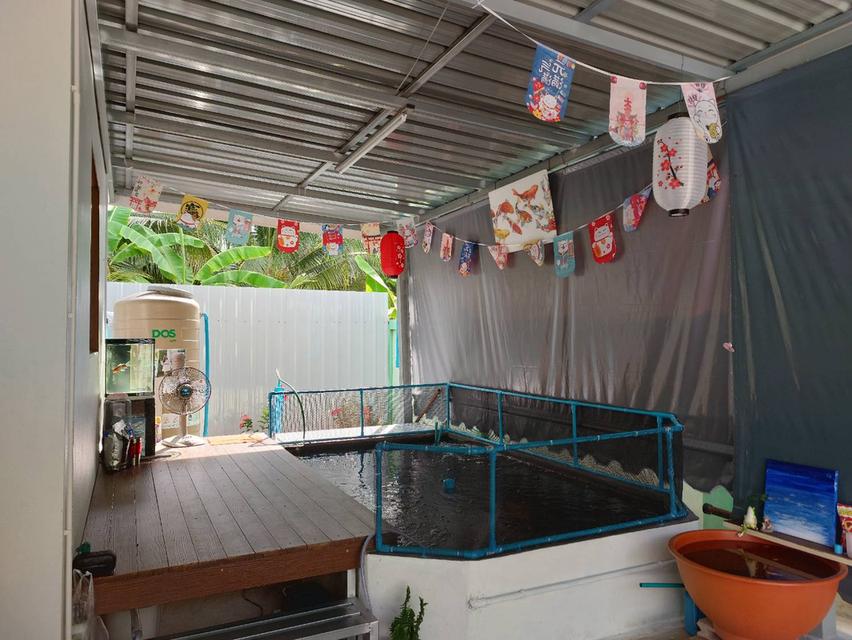 บ้านสวนมินิมอล 15