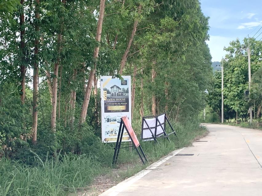 ขายที่ดินใกล้ถนนข้าวหลาม แบ่งขาย 6ไร่ ติดทาง 2ด้าน ตรงข้ามโรงเรียนสารสาสน์วิเทศบูรพา ที่ดินเข้า-ออกได้หลายทาง แบ่งขาย 6ไร่ ไม่ต้องถมทำเลที่พักอาศัย 5