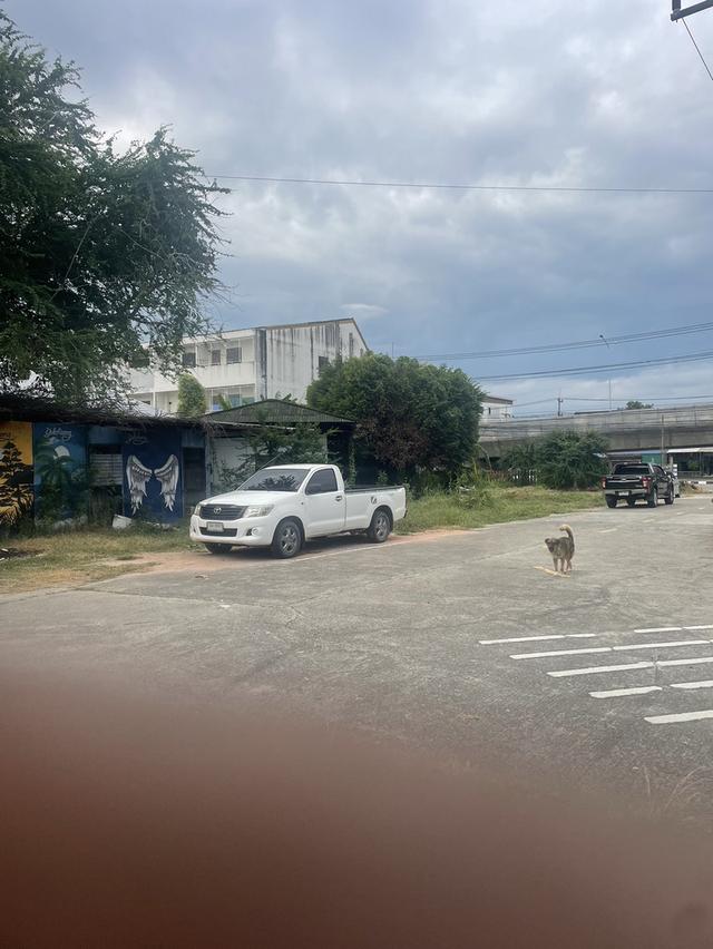 ขายที่ดินเปล่า อ.สัตหีบ ชลบุรี 4