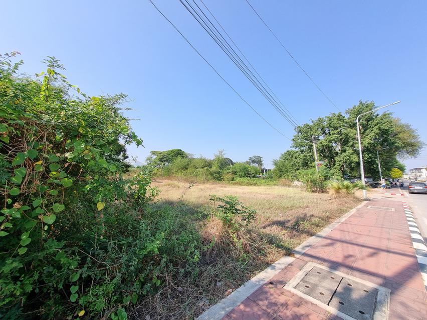 ที่ดินเปล่า ใกล้ถนนหลัก 2ไร่ 3งาน เหมาะสำหรับลงทุน 3