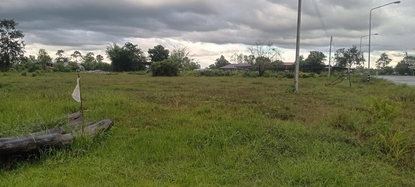 ที่ดินว่างเปล่าติดถนนหลัก 2ไร่ โฉนดพร้อมโอน 8