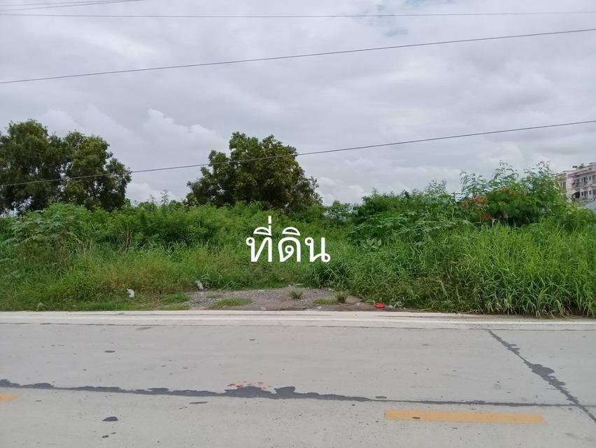 ขายที่ดินใกล้ตลาดไท ไอยรา คลองหลวง ปทุมธานั 1