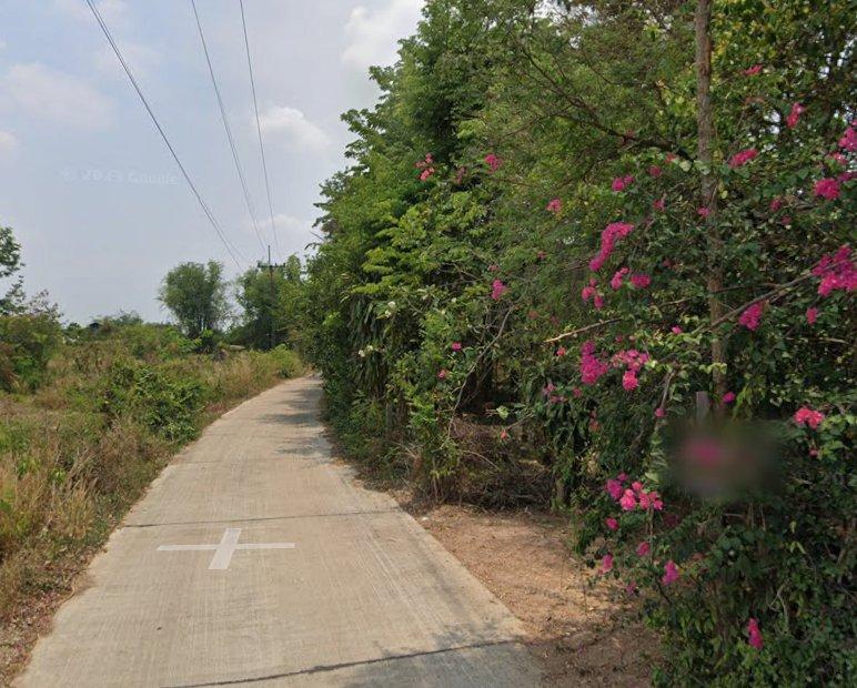 ขายที่ดินบ้านซ่อง 3 ไร่ ติดถนนคอนกรีต ติดฝายน้ำใกล้ถนนสี่เลน319-500เมตร อ.พนมสารคาม ฉะเชิงเทรา 2