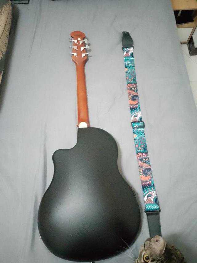 กีตาร์หลังเต่าไฟฟ้า 41" Paramount