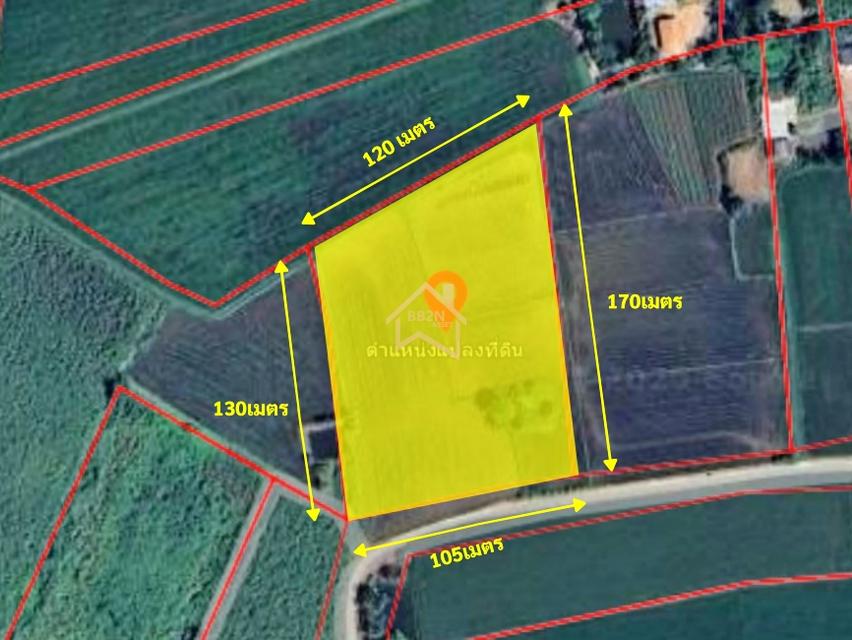 ที่ดิน 10 ไร่ ต.บ้านไร่ อ.บางกระทุ่ม จ.พิษณุโลก 6