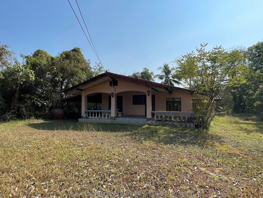 🔥 ขายด่วน! บ้านพร้อมที่ดิน พื้นที่ขนาดใหญ่ ใกล้เมือง จ.อุดรธานี (รหัส H1SS-491) 8