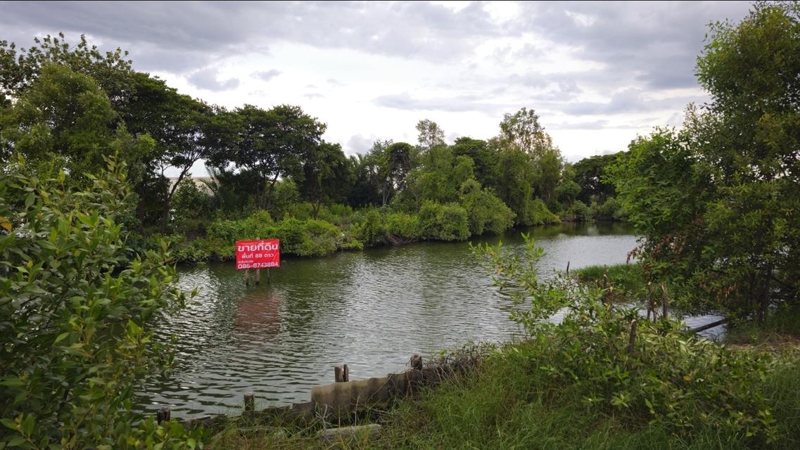 ขายที่ดิน 88 ตารางวา 1