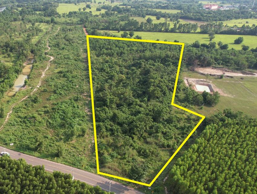 ขายที่ดินศรีมหาโพธิทำเลดี 12 ไร่ ซอยวิทยาลัยบูรพาปราจีน ติดถนนเส้น3016 ใกล้นิคม304-9กม. จ.ปราจีนบุรี 2