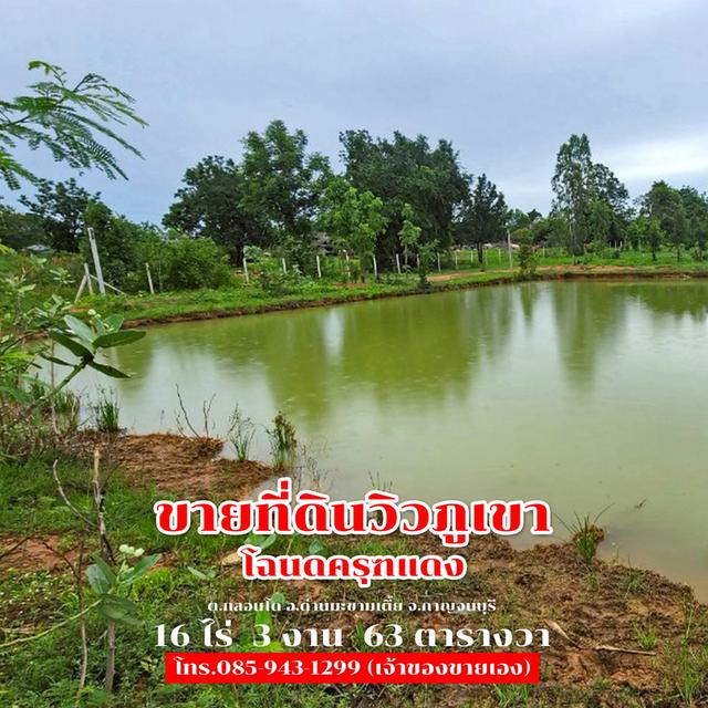 ขายที่ดิน 16 ไร่ 3 งาน 63 ตารางวา ติดถนนลาดยาง วิวภูเขา จ.กาญจนบุรี 30,000,000 บาท 3