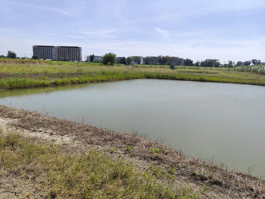 ขายที่ดิน เปล่า วิวธรรมชาติ กำแพงแสน นครปฐม ขายถูก 2