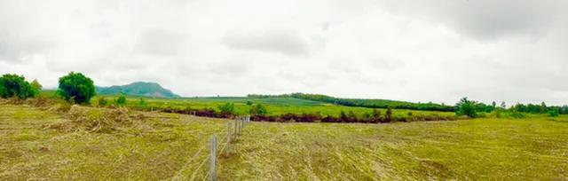 ที่ดินพรีเมี่ยม 14 ไร่ เชียงราย ขายเหมา (สิงห์ปาร์ค) น้ำไม่ท่วม 4