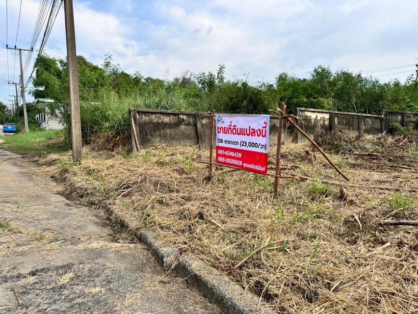 ขายที่ดินเมืองเอก รังสิต (โครงการ3) 136 ตร.ว. ถมแล้ว เมืองปทุมธานี .ใกล้มหาวิทยาลัยรังสิต 1483 1