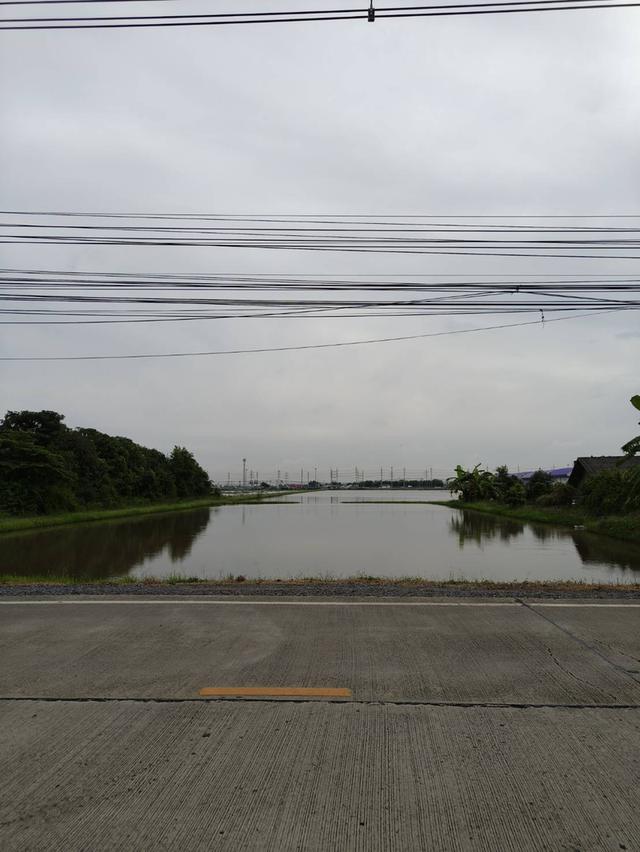 ขายที่ดิน ลำลูกกา คลอง5 ขนาด 14 ไร่ ติดถนนเลียบถนนกาญจณาภิเษก 8.5M/ไร่ 2