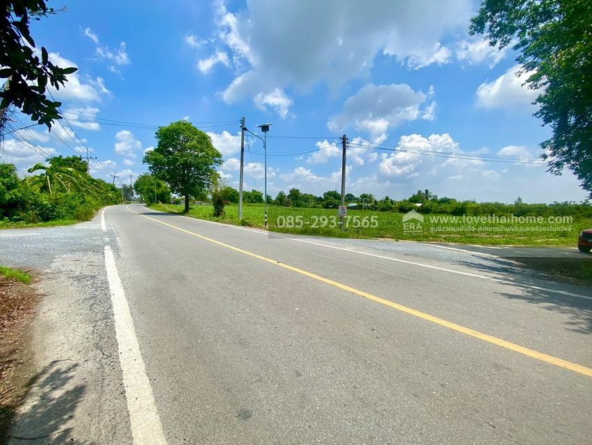ขายที่ดินเปล่า ต.ศรีสำราญ อ.สองพี่น้อง จ.สุพรรณบุรี พื้นที่ 5 ไร่ ถมแล้ว ห่างจากถนนใหญ่เพียง 200 เมตร ใกล้อบต.ศรีสำราญ 12