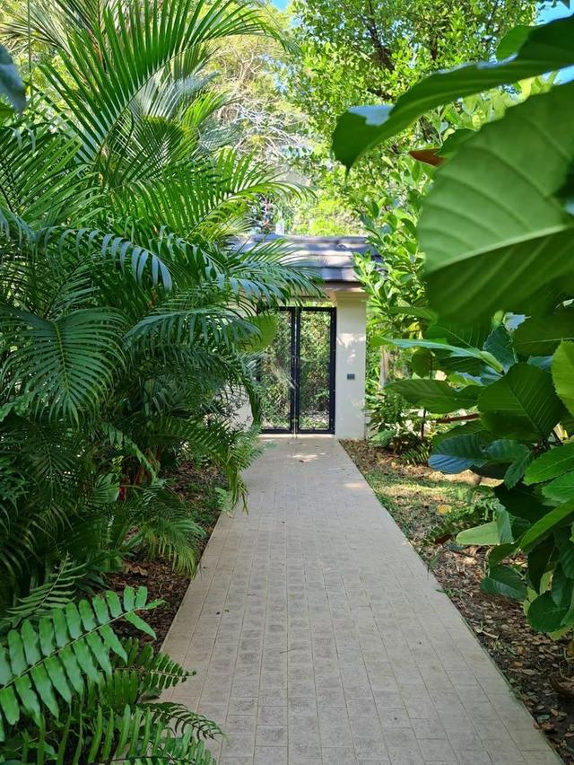 Beautiflul 2 storey house for sale in one of Chiang Mai’s best and most desirable locations. 19