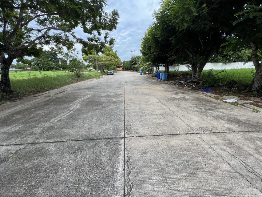 ที่ดินกรีนวัลเล่ 281 ตรว 4