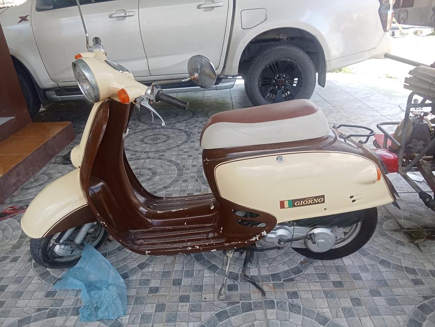 Honda giorno 50cc รถป๊อบ