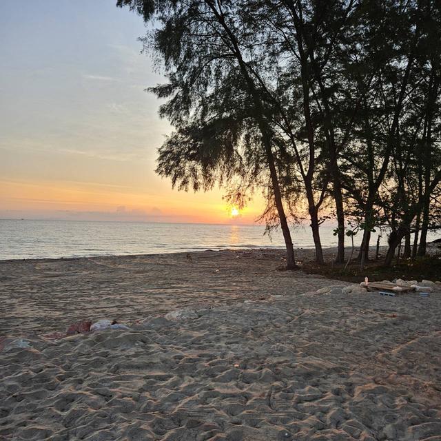 ขายที่ดินหน้าติดทะเล หลังติดถนน หาดพุมเรียง อ.ไชยา 13