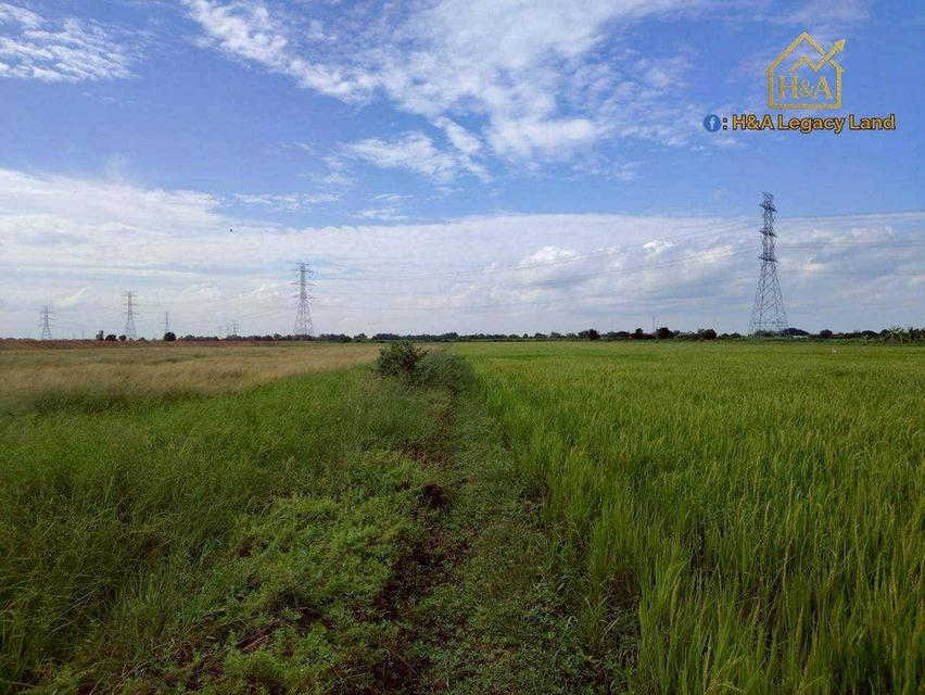  ขายที่ดินเปล่าแปลงสวย ติดถนนใหญ่ อย.3006 ลาดบัวหลวง–ไม้ตรา อ.ลาดบัวหลวง จ.พระนครศรีอยุธยา 30-3-74 ไร่ 8